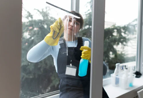 Nettoyage de vitres intérieures et extérieures à Montmacq